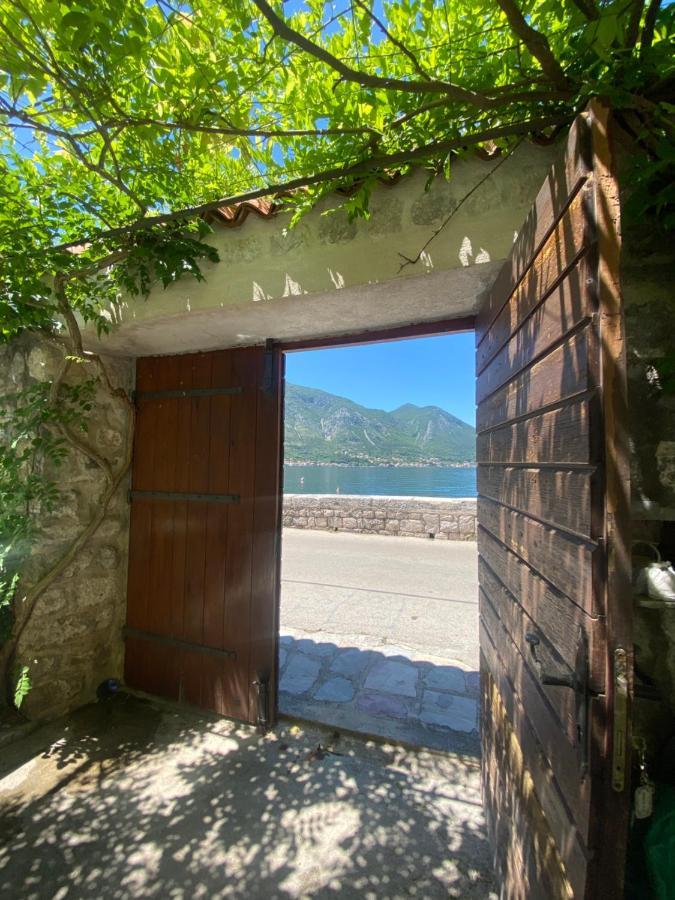 Mansarda Apartment Kotor Exteriör bild