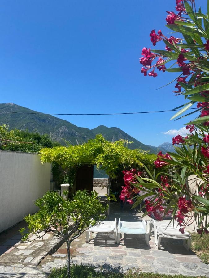 Mansarda Apartment Kotor Exteriör bild